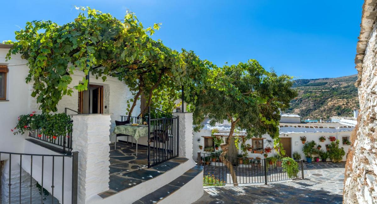 Casa Antonia Capileira La Alpujarra Apartment Ngoại thất bức ảnh
