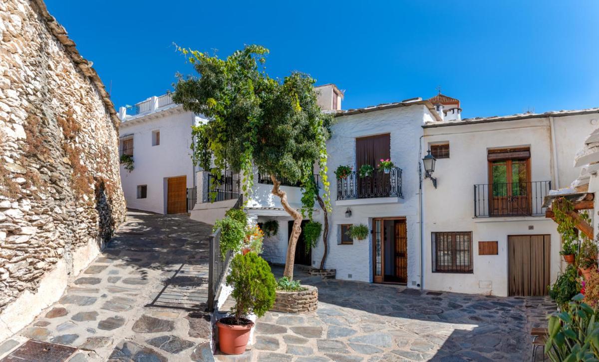 Casa Antonia Capileira La Alpujarra Apartment Ngoại thất bức ảnh