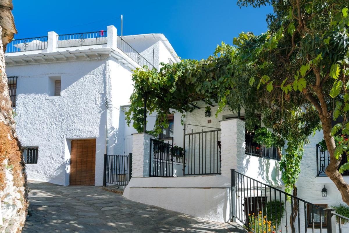 Casa Antonia Capileira La Alpujarra Apartment Ngoại thất bức ảnh